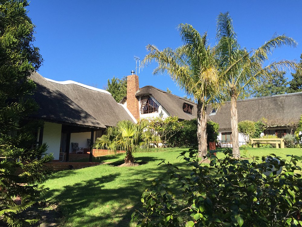 Africa Lodge